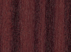 Bei den Haustüren der Serien Top und Exclusiv steht Ihnen die gesamte RAL-Farbpalette zur freien Verfügung